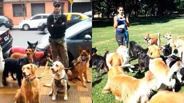 “No hay razones para que no nos permitan trabajar a los paseadores de perros”