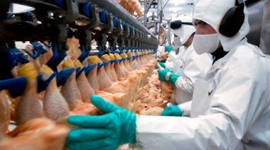 La Federación de la Carne acordó otro 12% de aumento y pago extra para trabajadores avícolas