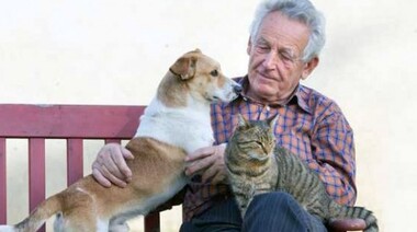 El Sindicato de Trabajadores Caninos presentó un proyecto de ley para incorporar perros en geriátricos