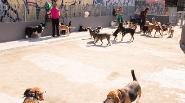 El STC logra más caniles en Palermo y lucha por una Ley de Caniles en la Ciudad