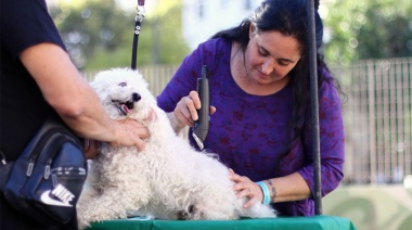 El STC reclamó la ley que reconozca a los trabajadores caninos y “una ciudad mascotera”