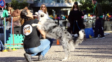 El STC reclamó la ley que reconozca a los trabajadores caninos y “una ciudad mascotera”