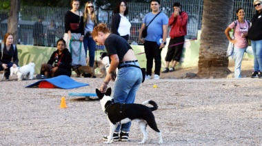 El STC reclamó la ley que reconozca a los trabajadores caninos y “una ciudad mascotera”