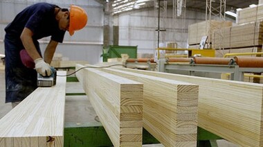 Los trabajadores madereros del país celebraron su día 