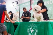 El Sindicato de Trabajadores Caninos implementó capacitaciones a distancia gratuitas