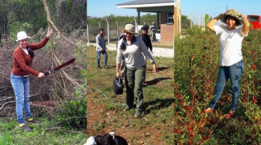 AMET Misiones impulsa un proyecto para proteger a docentes embarazadas en la educación técnica