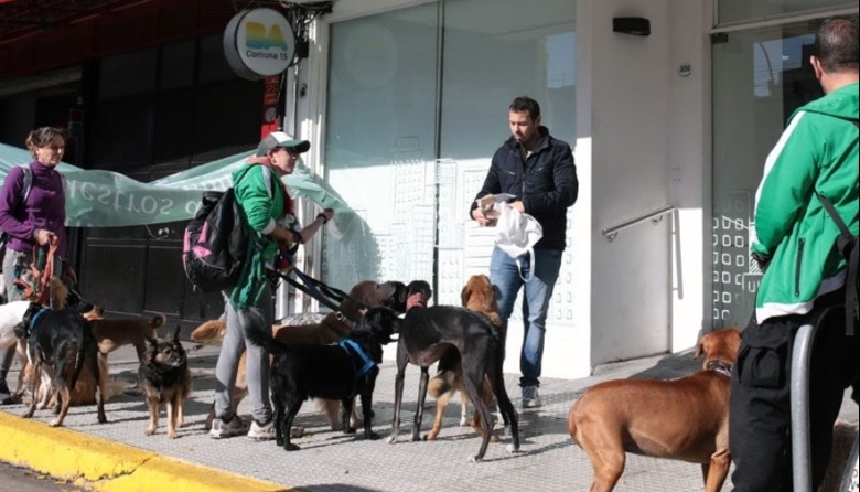 El Sindicato de Trabajadores Caninos logró la cobertura de accidentes laborales y lo anunció como “un hecho histórico”