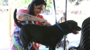 El STC lanzó la primera diplomatura oficial de peluquería canina en el país