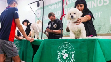 El Sindicato de Caninos analizó el proyecto de microchips para mascotas y reclamó “un plan de tenencia responsable”