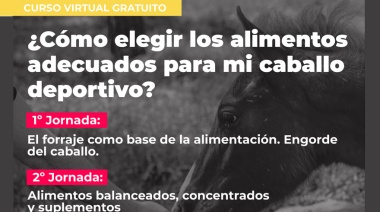 La UTTA anunció un Curso Virtual Gratuito sobre la alimentación del caballo deportivo