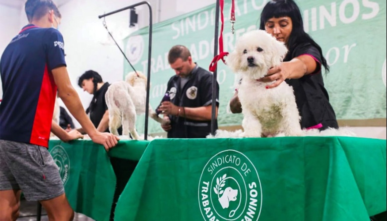 El Sindicato de Trabajadores Caninos implementó capacitaciones a distancia gratuitas