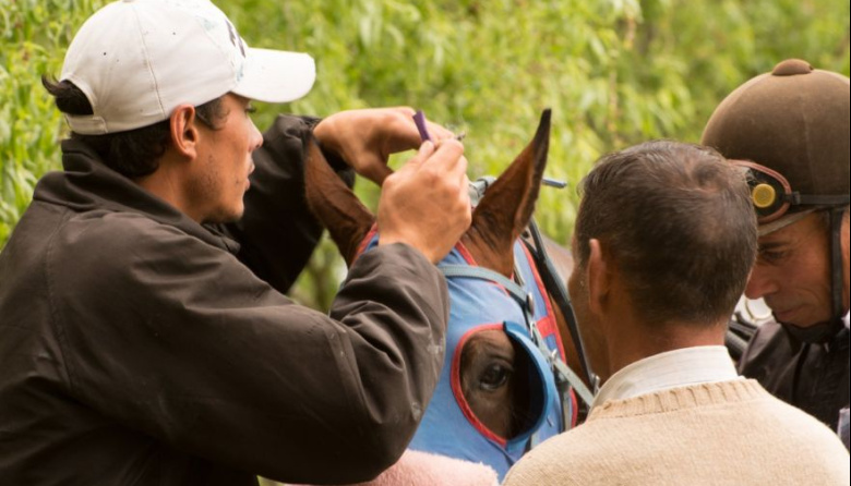 La UTTA anunció un aumento salarial del 15% para los trabajadores del turf