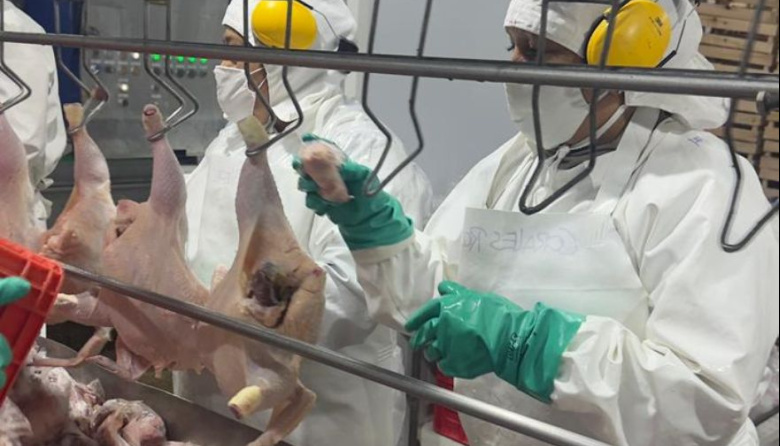 Sindicatos de la Carne cuestionaron demoras en la atención de accidentes de trabajo