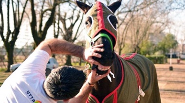 La UTTA anunció una capacitación gratuita sobre la selección de productos para caballos