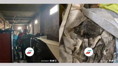 El SEDAPPER denunció “existencia de ratas y hacinamiento” en el Hospital San Roque
