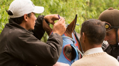 La UTTA anunció un aumento salarial del 15% para los trabajadores del turf