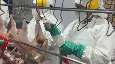 Sindicatos de la Carne cuestionaron demoras en la atención de accidentes de trabajo
