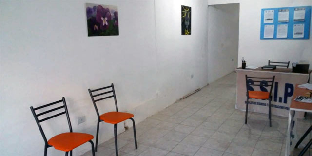 ssip-venado3